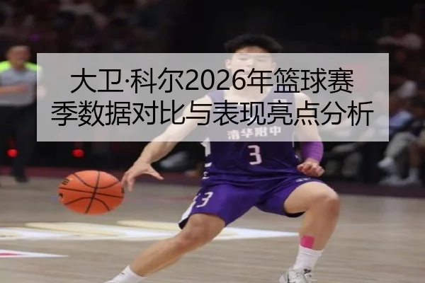 大卫·科尔2026年篮球赛季数据对比与表现亮点分析