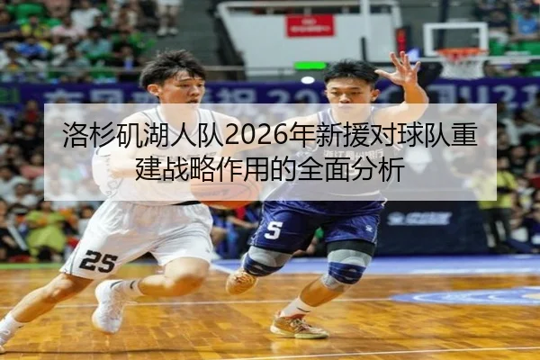 洛杉矶湖人队2026年新援对球队重建战略作用的全面分析